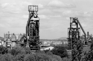 53454930_103358444164947_5315137842593136640_n